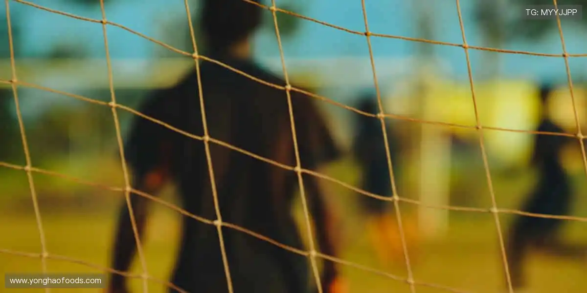 创新不止，我们始终领先一步！🚀